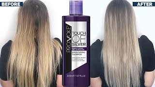 PROVOKE TOUCH SILVER BRIGHTENING SHAMPOO BEFORE AND AFTER | PURPLE SHAMPOO REVIEW - YouTube