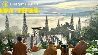 NIKAYA Thiền Quán - Trị Bệnh Tâm *