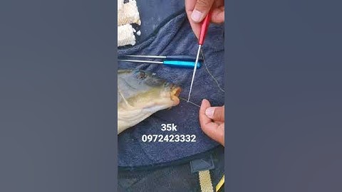 Dụng cụ gỡ lưỡi câu cá #cauca #câucá #tuanminhfishing #fishing #caudai