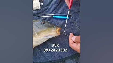 Dụng cụ gỡ lưỡi câu cá #cauca #câucá #tuanminhfishing #fishing #caudai