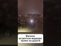 Жители встретили медведя прямо на дороге