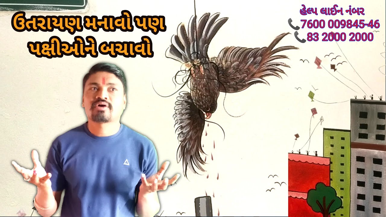 How do you save a bird|Sev Bird|🙏🙏