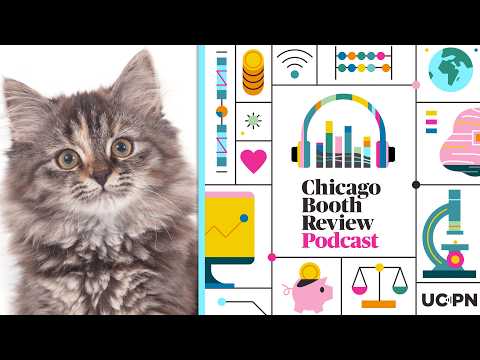 What a missing cat tells us about high-stakes situations