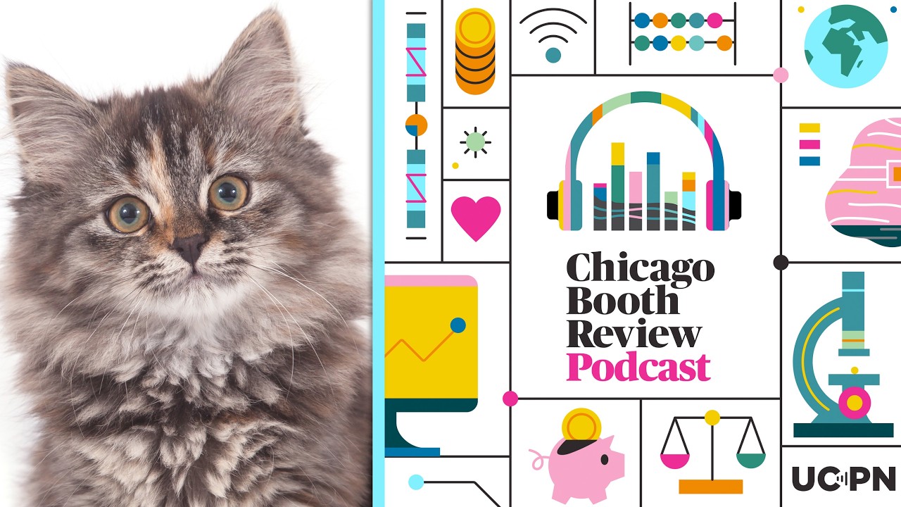 What a missing cat tells us about high-stakes situations