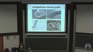 Tiny acritarchs with porous vesicle from the Early Cambrian of Estonia