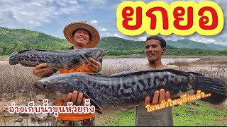 ยกยอ อ่างขุนห้วยกั้ง ►Fishing lifestyle Ep.674