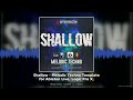 Shallow Melodic Techno Template Ableton Live Logic Pro Cubase FL Studio