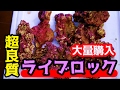 【アクアリウム】超良質なライブロックを大量に購入！濾過能力が優秀すぎる