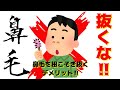 鼻毛は抜くな! 根こそぎ抜く恐ろしいデメリット!