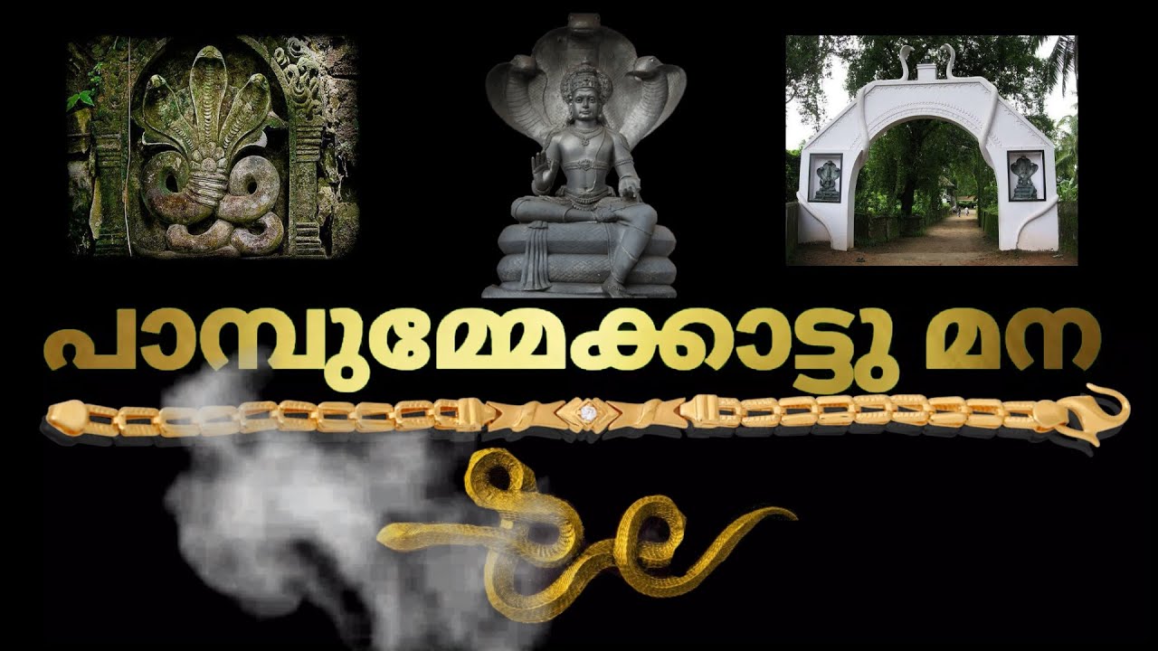 പാമ്പുമ്മേക്കാട്ടു മന |PAMBUMMEKKATTU MANA |ANCIENT SERPENT TEMPLE IN KERALA|FOLKLORE