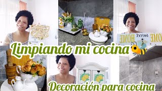 limpieza y organización de mi cocina pequeña/Decoración que utilizaré en mi cocina#vlogsrd #cocina