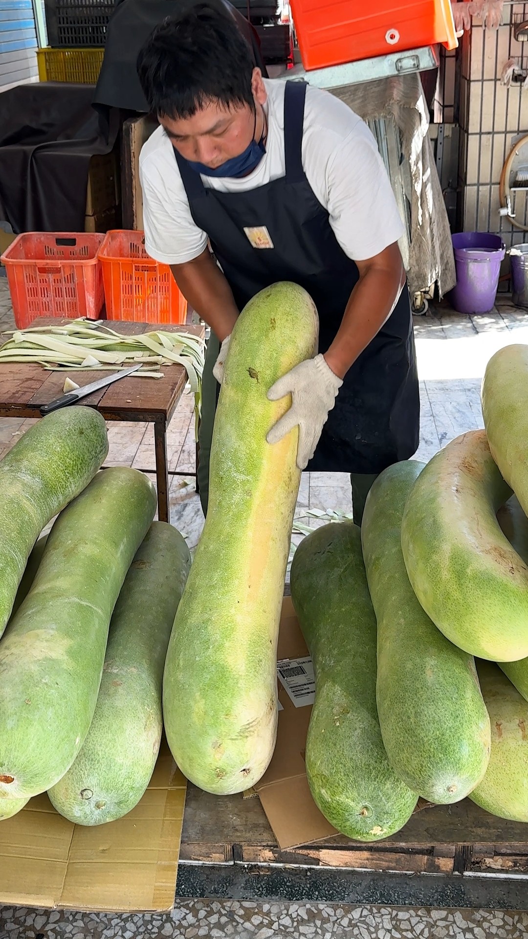 Amazing! The Longest Fruit in The World - Winter Melon Cutting for Drinks