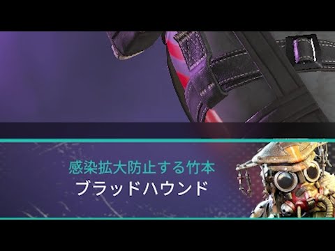 感染拡大防止に取り組む竹本 - Apex Legends【KUN】