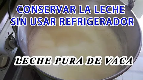 ¿Por qué no se debe hervir la leche?