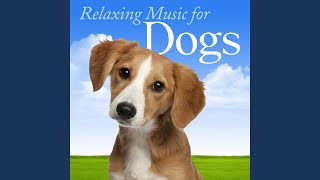 Air On the String: Classic for Family Relaxation Time, Taking Dog for a Walk