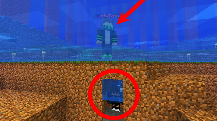 Verstoppertje spelen in Minecraft! DE BESTE PLEK OOIT!!