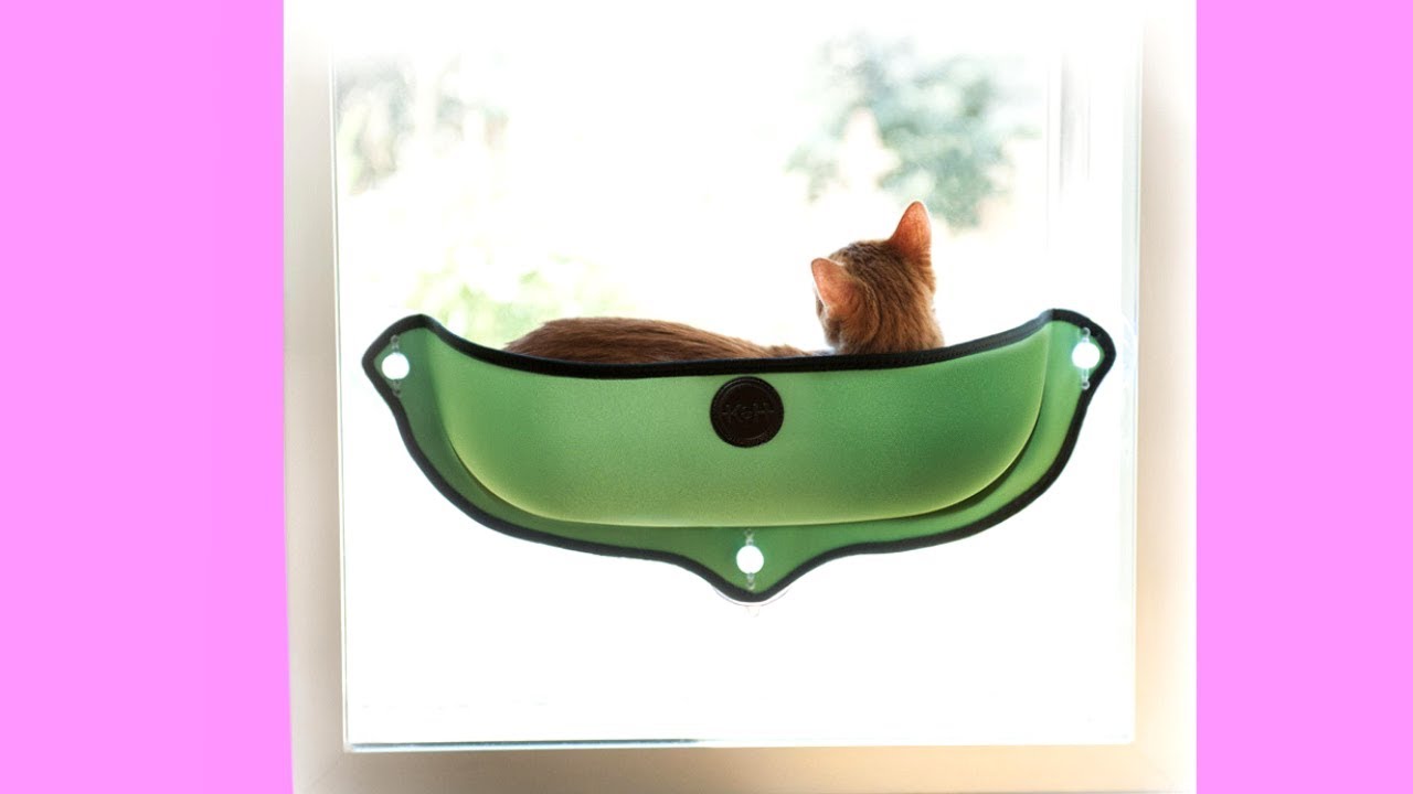 Cat Window Bed (Hammock) YouTube