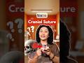 What is Cranial Suture Compression and Decompression? TM Joint Pain, Stuck Cynus, #compression