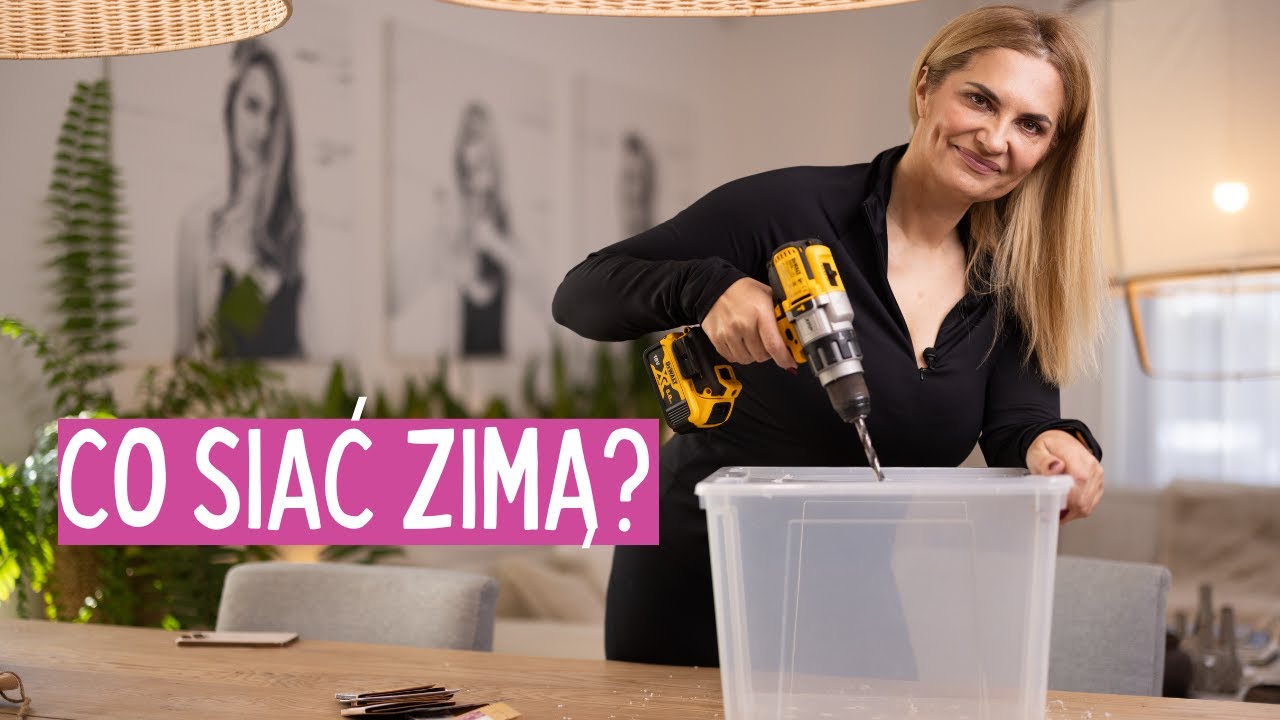 Wysiew nasion zimą w pojemnikach (winter sowing) – jak siać zimą i uniknąć błędów krok po kroku