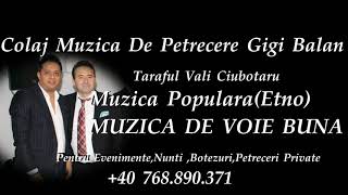 CEA MAI BUNA MUZICA DE PETRECERE SI POPULARA 2018 CU GIGI BALAN COLAJ MUZICA DE VOIE BUNA