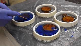 Making wood in resin coasters. you can find random pieces of tree
branches and turn them into something as cool these written version:
htt...