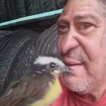 VaI cAnTa BeM tE vI, aEeEeE