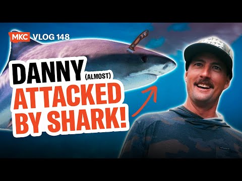 DANNY (almost) ATTACKED BY SHARK!
