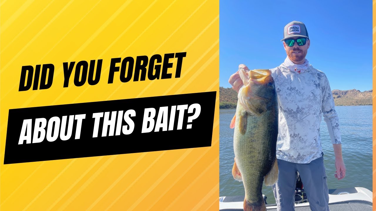 The BEST Worms for Summer Bass Fishing