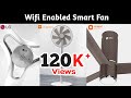 3 Best Wifi Enabled Smart Fan : Ceiling & Standing Smart Fans