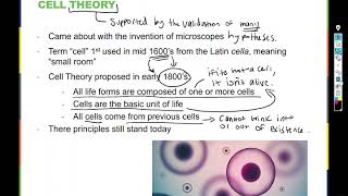 Bi 160 Chapter 3 part 1 Cells and organelles