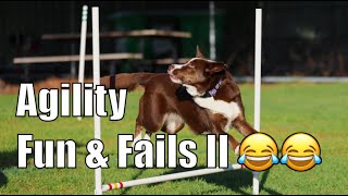 Agility Fun & Fails II 🤣🤣