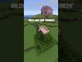 Minecraft'ta En İyi Gizli Base Taktiği!! ⛏💎