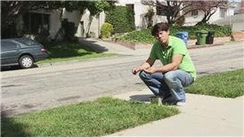 Garden and Lawn Help : How to Control Weeds