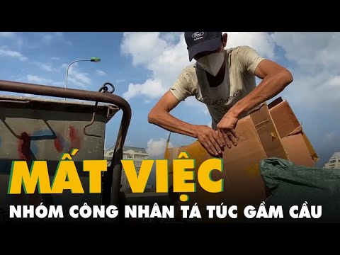 Video Nhóm công nhân mất việc tá túc gầm cầu, nhặt ve chai... - youtube