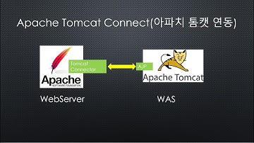 apache tomcat 연동