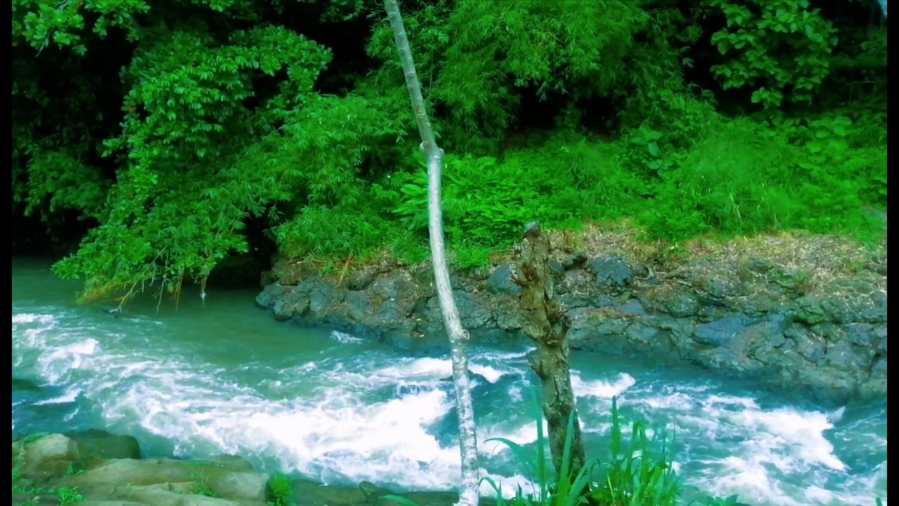 Soothing Water Flowing Ambience for Sleep and Deep Relaxation