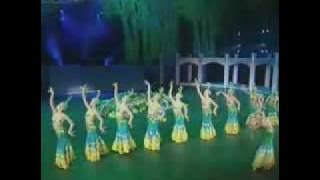 吉祥孔雀(傣族女子群舞)