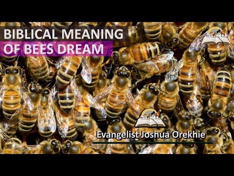 Biblical Meaning of BEES in Dream - Dream About Bees and Beehive Symbolism