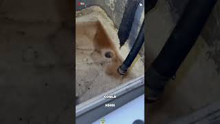 Most people never check the anode rod inside their water heater. #Plu...