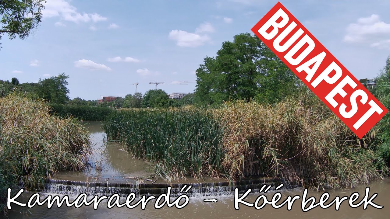 Budapesti Séták: KAMARAERDŐ - VADÁSZHEGY - KŐÉRBEREK