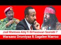 Jaal Marroo Abiy Fi Birhaanuun Seeratti Haa Dhiyaatan Moha Oromo
