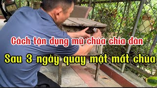 Cách cho nụ chúa chia đàn vào lồng nhốt(dự trữ lâu nhất)22-05