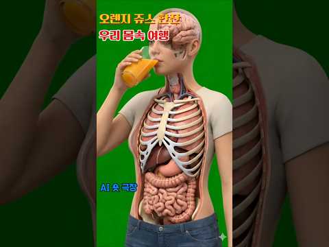 A glass of orange juice  A trip inside our bodies (오렌지 주스)