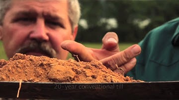 Soil health lesson in a minute: engine energy