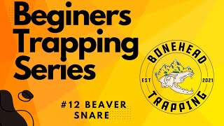 How To Set A Beaver Snare, Basic Set (Beginners Trapping Series)