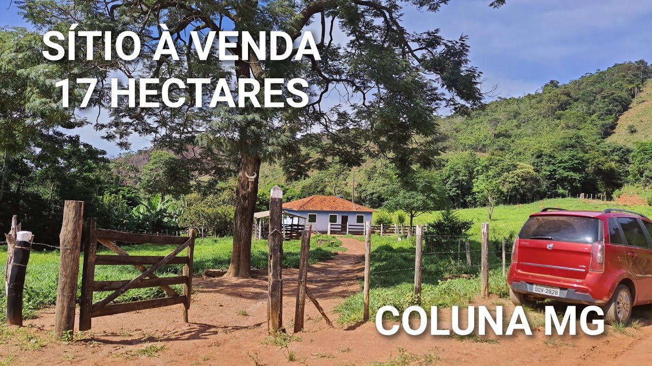 SÍTIO À VENDA , 17 HECTARES, PEQUENA NASCENTE DE ÁGUA, TUDO FORMADO EM PASTAGENS, EM COLUNA MG 