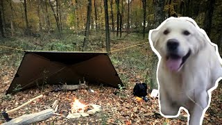 Fall Overnight at the Bushcraft Camp! | Tarp, Steak, and Spiders!