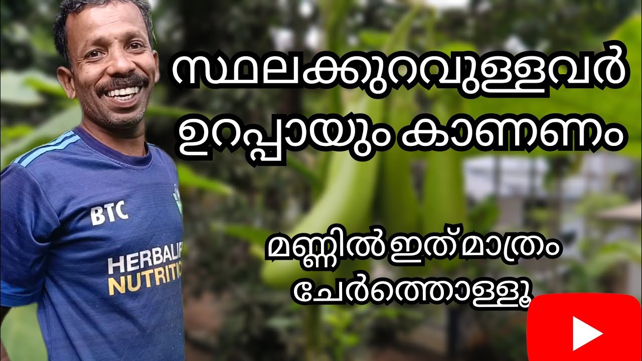 സ്ഥലക്കുറവ് ഉള്ളവർ ഉറപ്പായും കാണണം 🥰| #farmer #landlessfarmer | Minnuzzfamily |