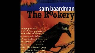 Sam Baardman - The Amazon is Burning
