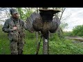 PUBLIC LAND GOBBLER comes in from 400 YARDS!!!  (Spring Turkey Hunting)